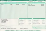Example monthly payslip with bonus payment and net pay total
