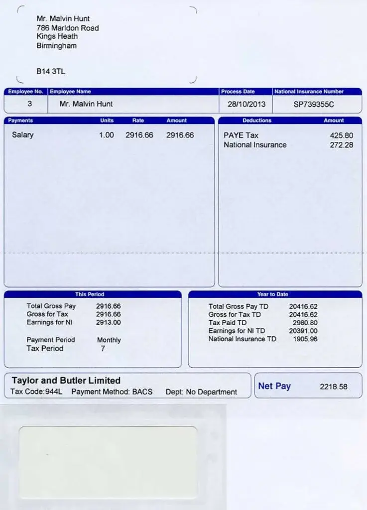 Example payslip with company name, department, and pay date